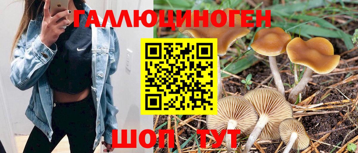 Галлюциногенные грибы ЛСД Тихвин