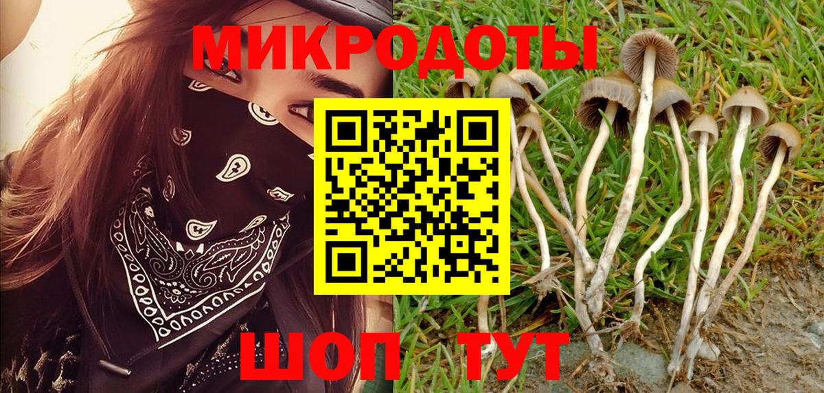 Псилоцибиновые грибы Magic Shrooms  Вход с VPN  Тихвин 